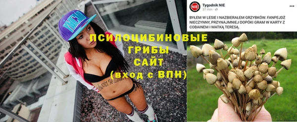 ГАЛЛЮЦИНОГЕННЫЕ ГРИБЫ Балахна