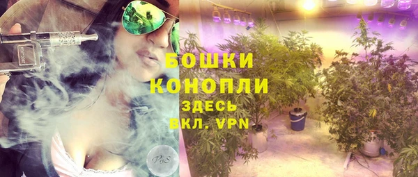 ГАЛЛЮЦИНОГЕННЫЕ ГРИБЫ Балахна